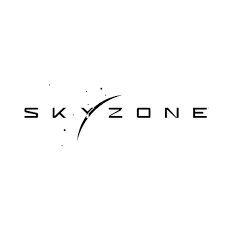 Skyzonefpv Logo