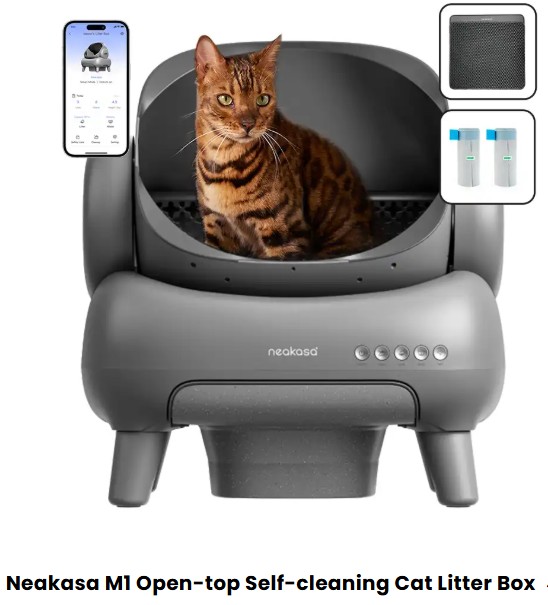 smart cat litter box, automatic cat litter box, Neakasa Smart Cat Litter Box, Petmarvel litter box, Pawaii litter box, discount code, coupon code, best self-cleaning litter box, smart litter box reviews, cat litter box deals